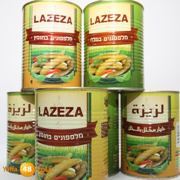 zhra2new612 (18).JPG